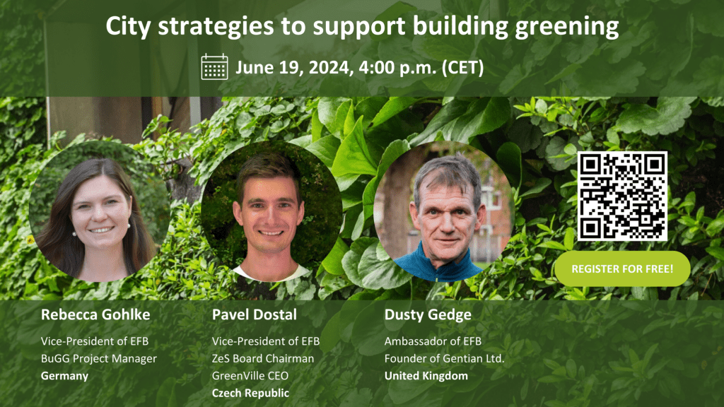 EFB webinar ‘CITY STRATEGIES TO SUPPORT BUILDING&nbsp;GREENING’