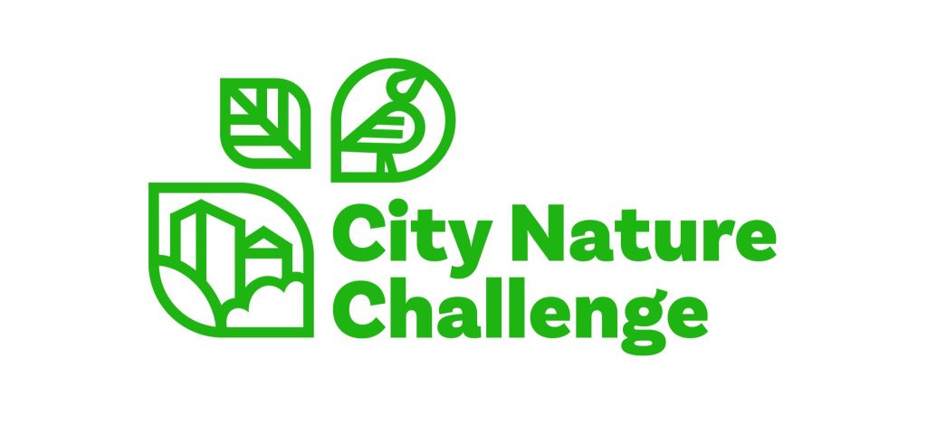 City Nature Challenge&nbsp;2025.