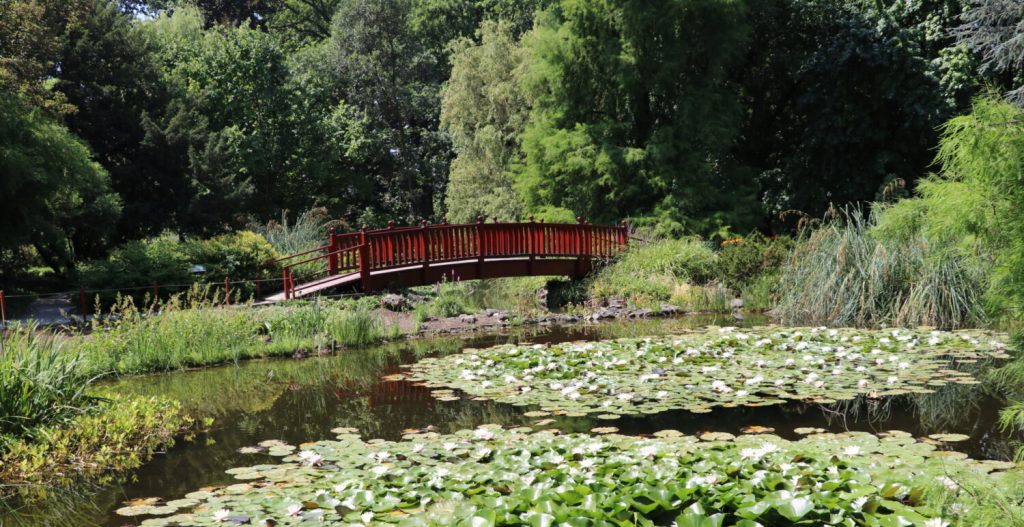 Predavanje ‘U skladu s prirodom: uloga botaničkih vrtova u očuvanju biološke raznolikosti’